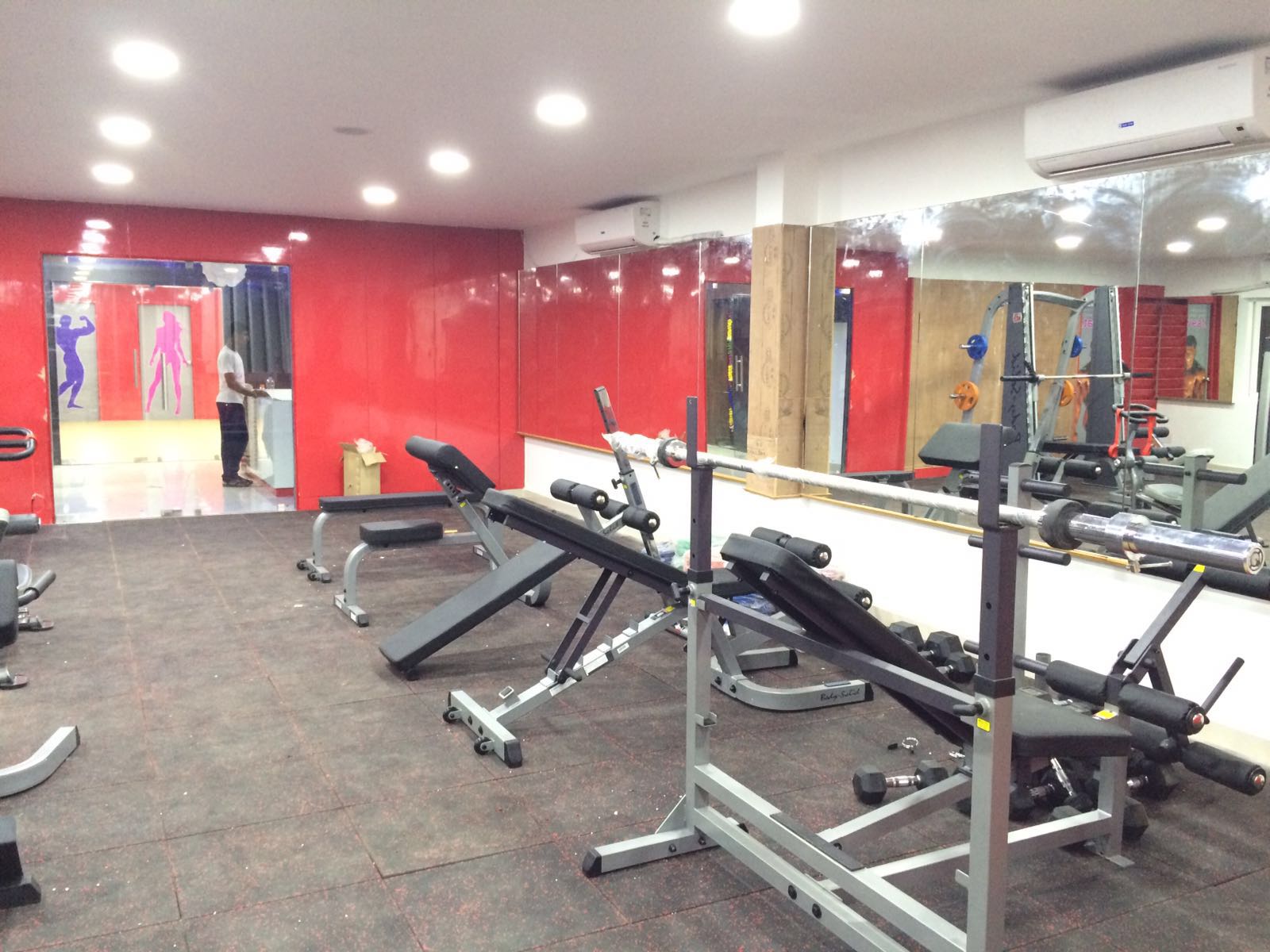 posh-zebra-rug-pattern-with-stylish-brown-couch-and-white-tender-sofa-harrow-818